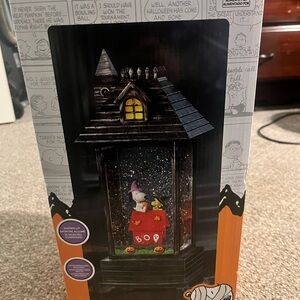 Peanuts Black and Orange Halloween Lantern